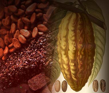 La Caba&ntilde;a Chocolate